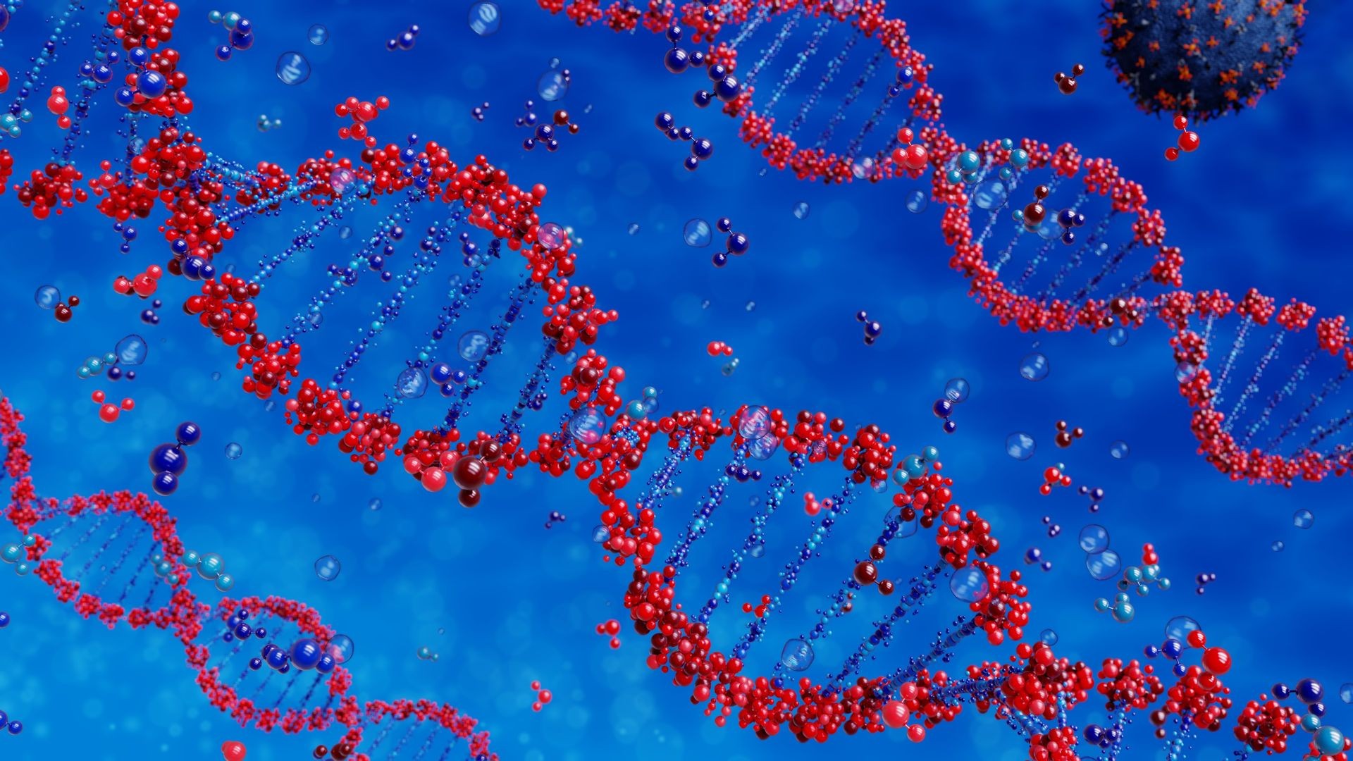 Virus destroys DNA strands
